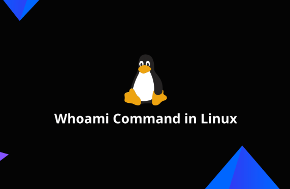 Linux whoami命令的详解.png